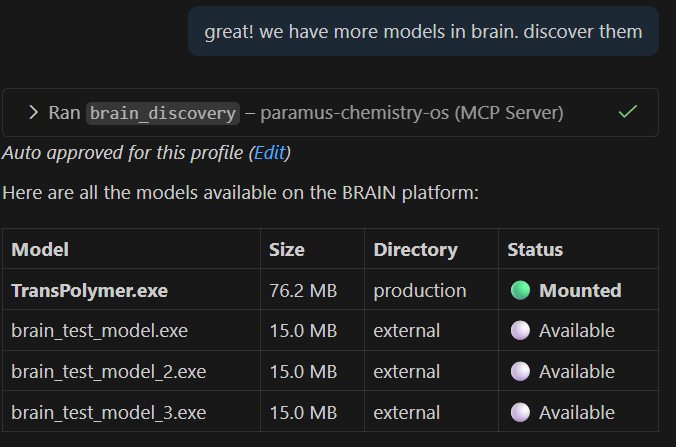 Paramus Brain MCP example